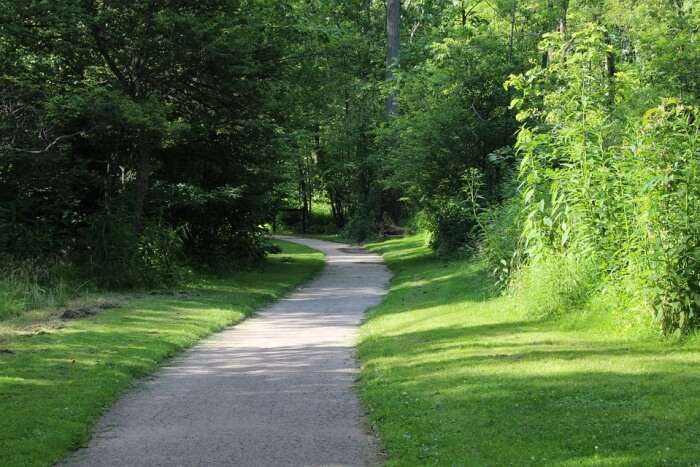 Two Bays Walking Trail