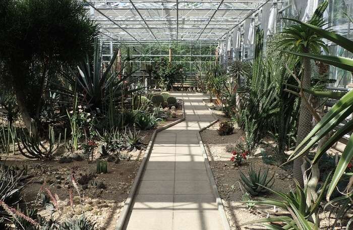Botanical garden 