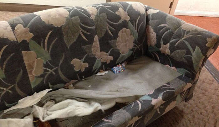 Bad condition of Sofa