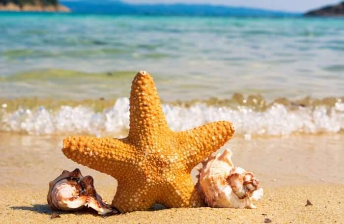 Vietnamese Beach