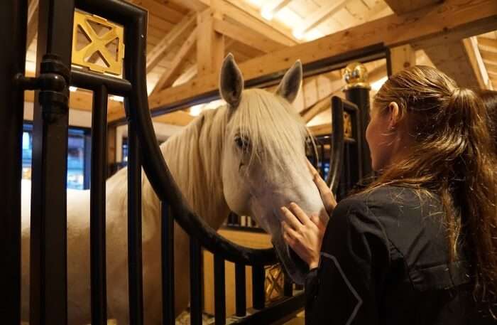 Visit-Lipica-Stud-Farm