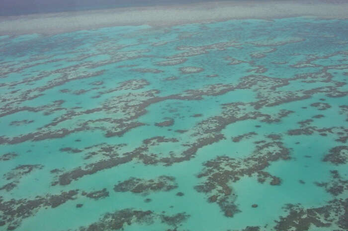 Water Activities at the Great Barrier Reef