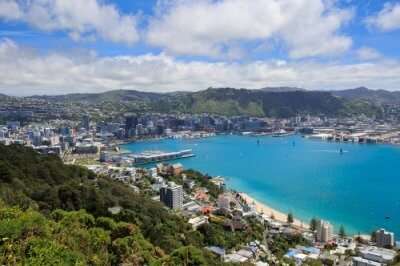 Wellington In Winter