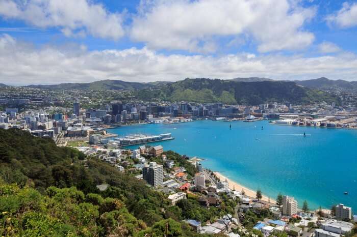 Wellington In Winter