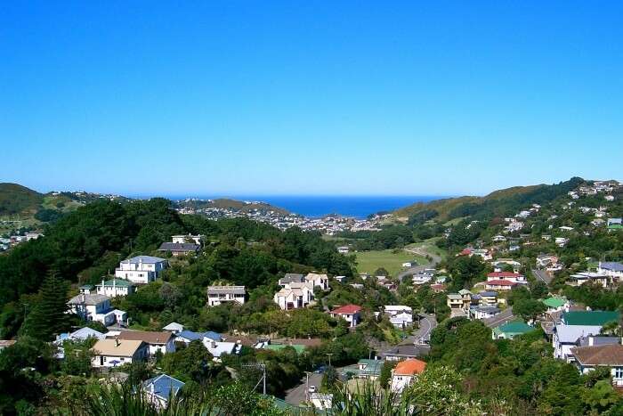 Wellington Weather