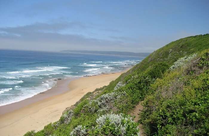 Wilderness Beach view