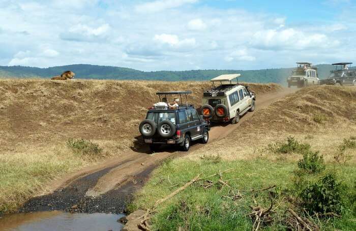 Wildlife Jeep Safari