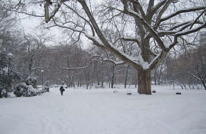 Winter Weather In Bucharest