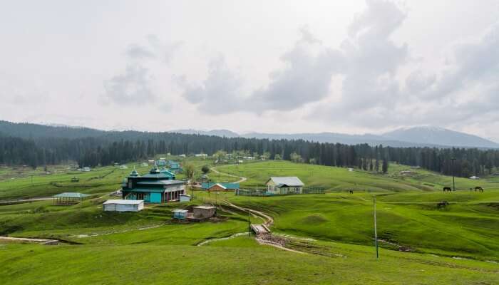 A view of a valley which is one of the majestic places to visit in Kashmir
