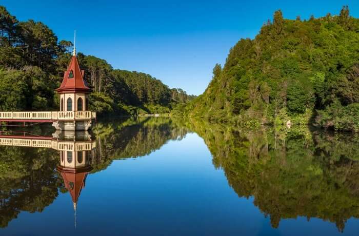 View of  the Zealandia EcoSanctuary