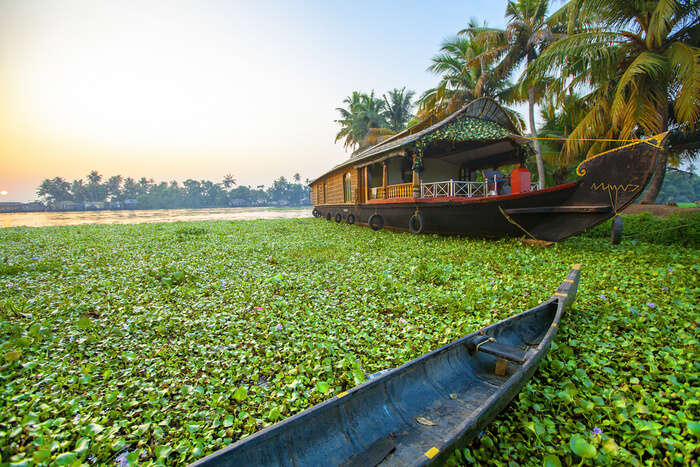 Incredible Summer In Kerala