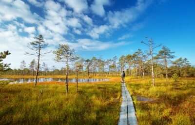 Top National Parks In Estonia