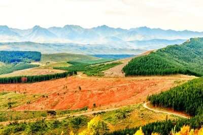 Best Places To Visit In George