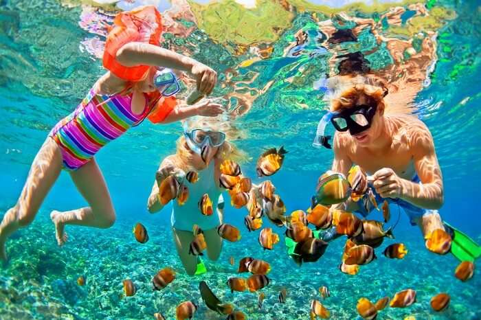 family snorkeling underneath water