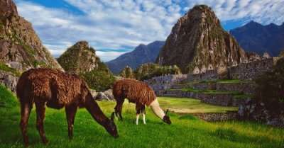 Huayna Picchu Cover
