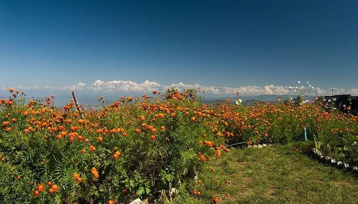 mukteshwar