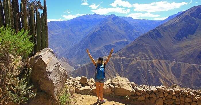 Magnificent Colca Canyon In Peru