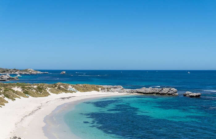 rottnest island 