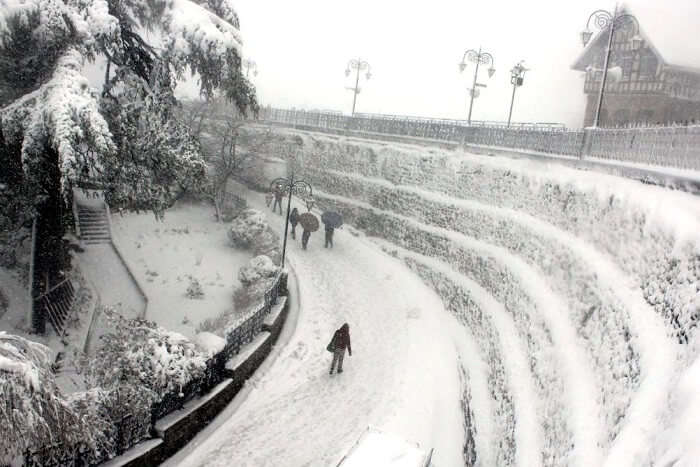snowfall in shimla, himachal pradesh on jan 22, 2019