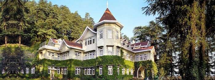 rustic wooodville palace