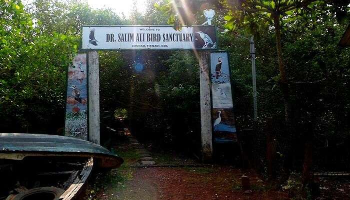 Salim Ali Bird Sanctuary