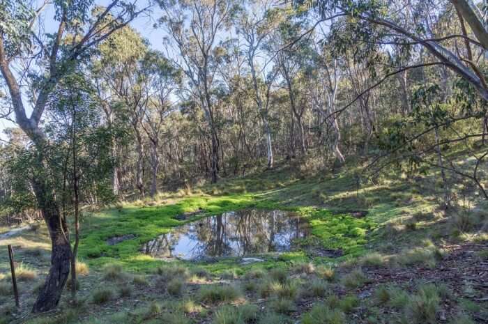 About Namadgi National Park