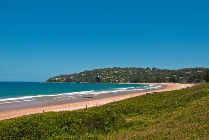 About Palm Beach In Australia