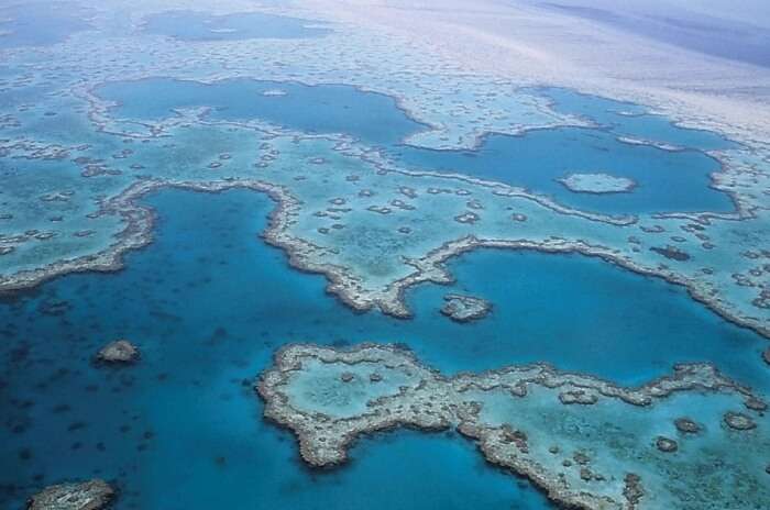 About The Great Barrier Reef