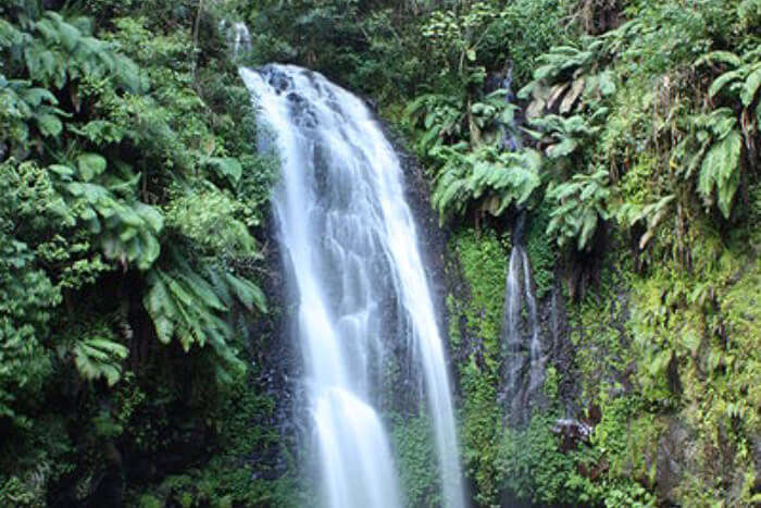 Waterfall View