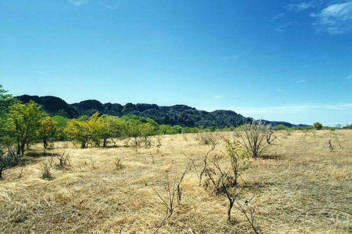 Ankarana National Park View