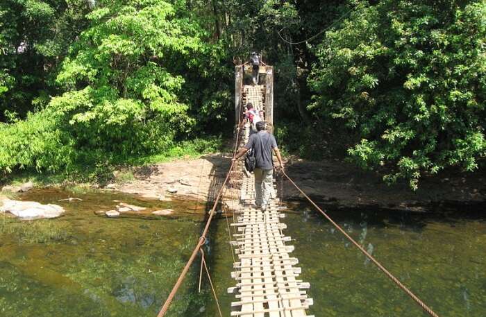 Aralam Wildlife Sanctuary, Kannur