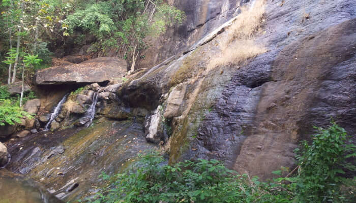 Areekkal Falls in Kochi