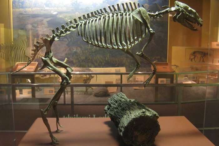 Artifacts On Display In National Museum Of Colombo