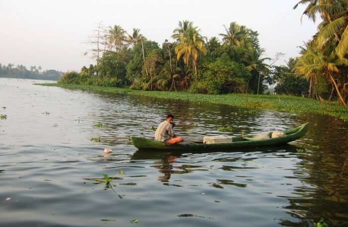 Backwaters, Kerala