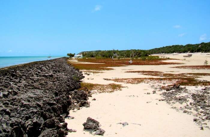 Bazaruto National Park