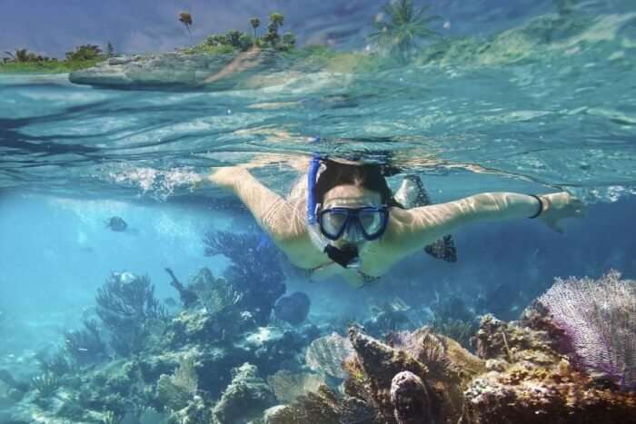 Best Time To Go Snorkeling In Naples