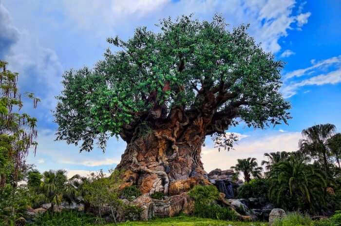 Best Time To Visit Walt Disney World Resort