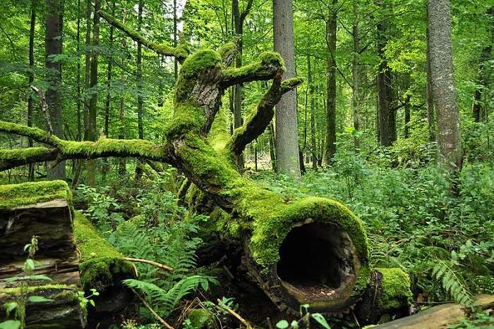 famous heritage site in Poland