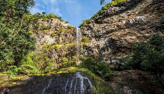 Black River Gorges National Park