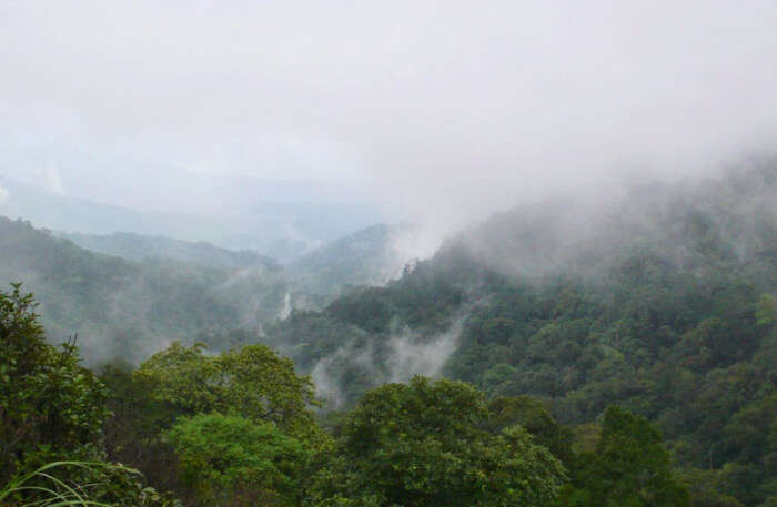 Brahmagiri Wildlife Sanctuary, Kodagu