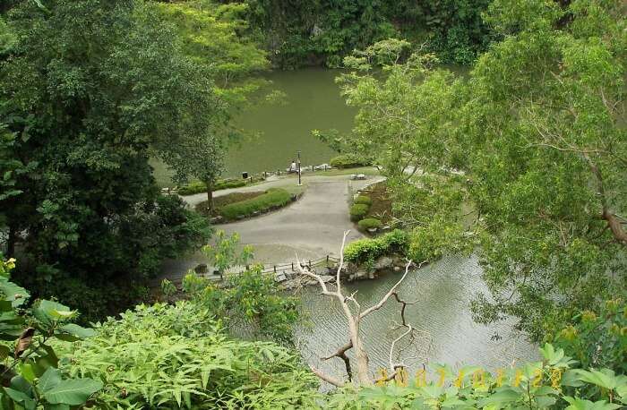 Bukit Batok Nature Park