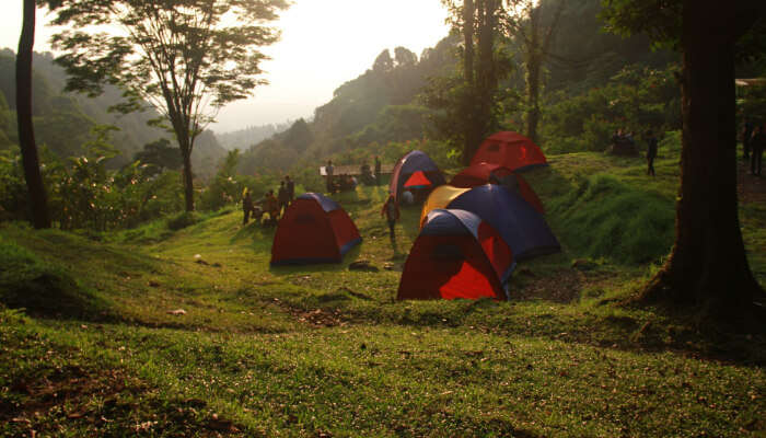 Camps in a Jungle