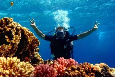 A person Scuba Diving in Queensland