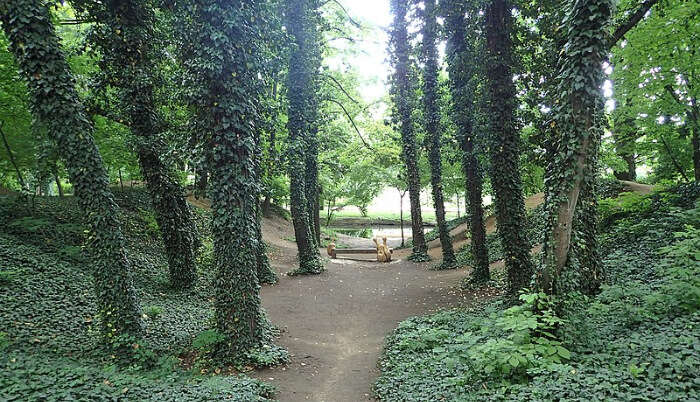 Craiova Botanical Garden