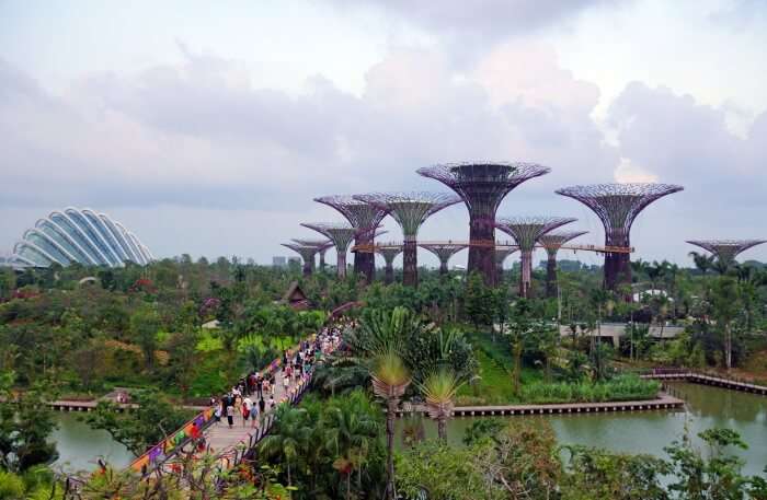 Gardens By The Bay