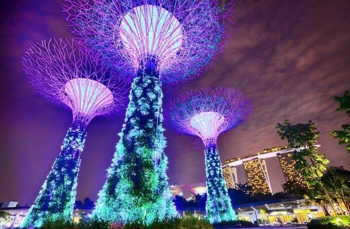 Gardens By The Bay