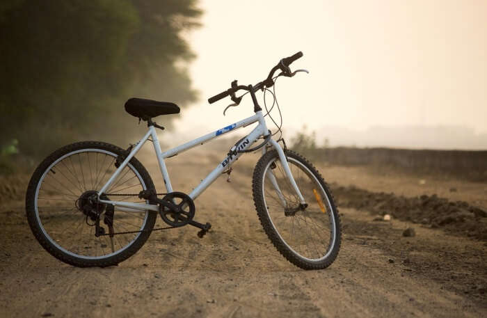 Cyclist Bike Biker Transportation System Wheel