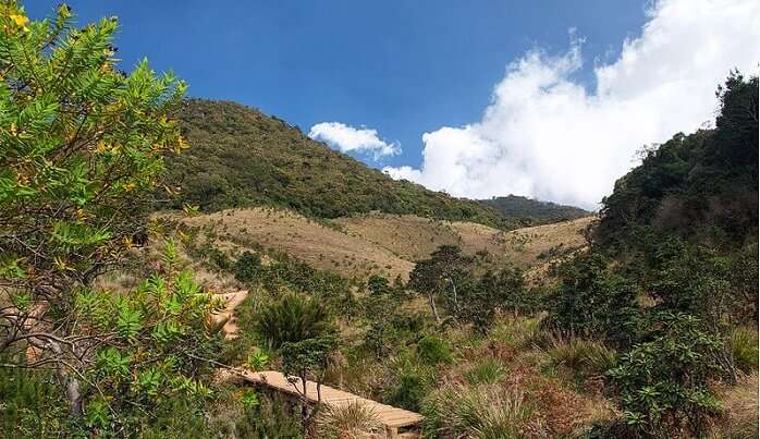 Discover lakes and greenery at Horton Plains National Park, one of the most beautiful places in Sri Lanka 