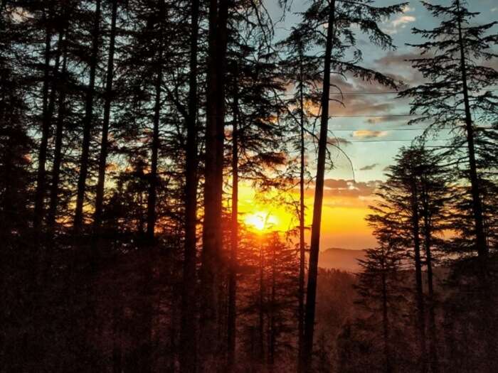 Shimla early morning