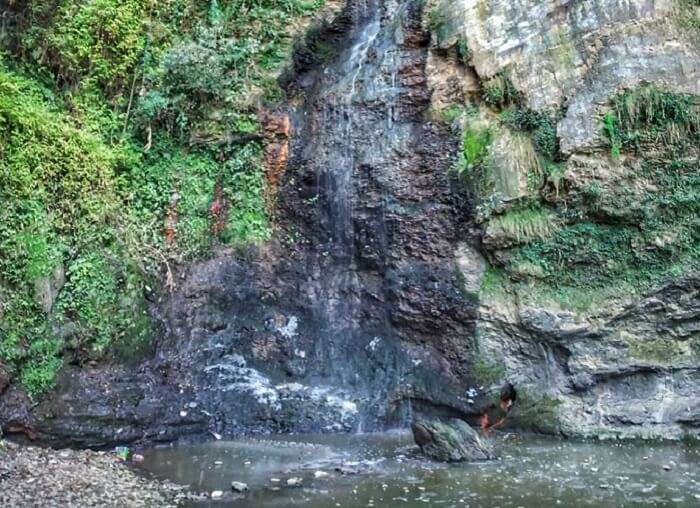 Chadwick Falls